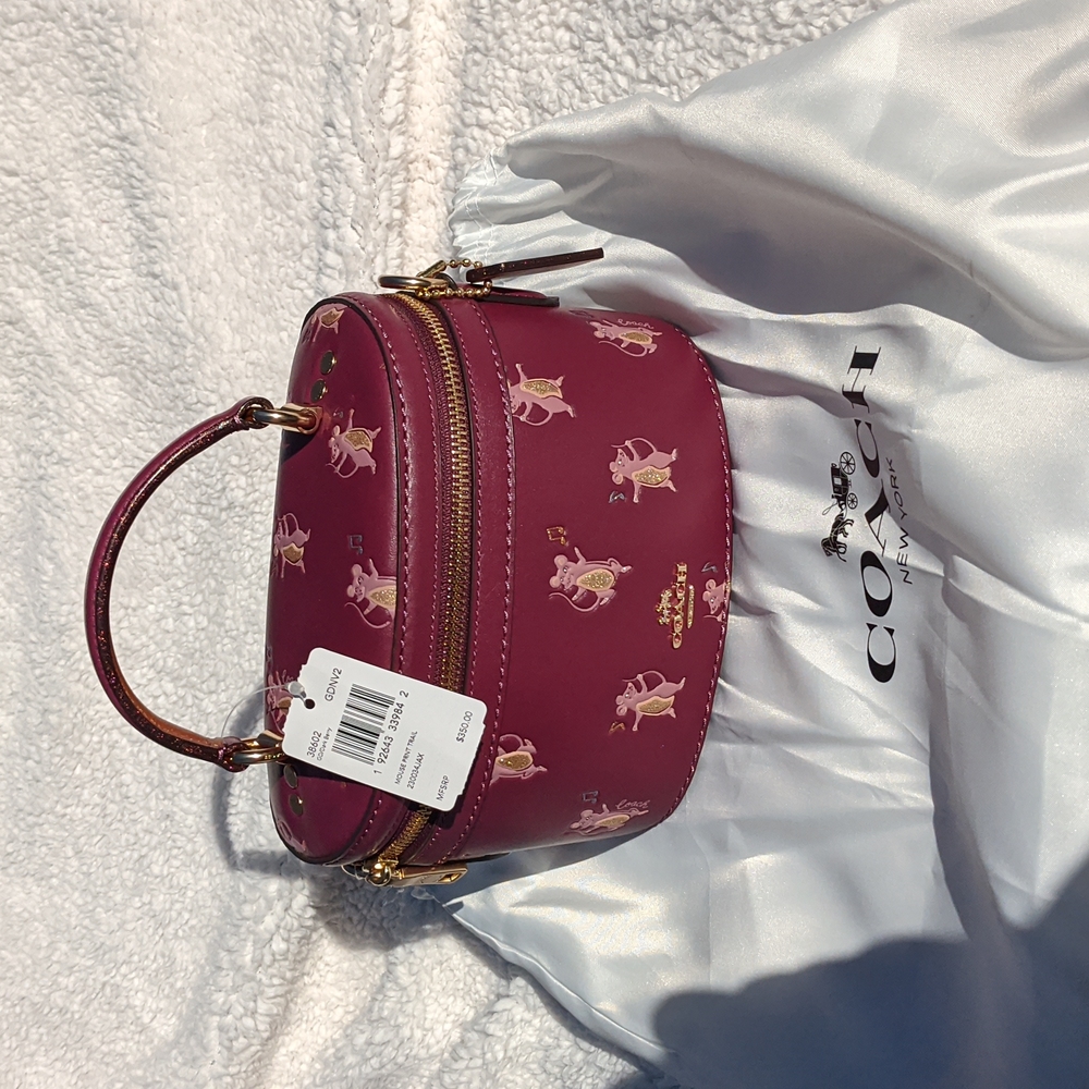Coach mouse print small bag